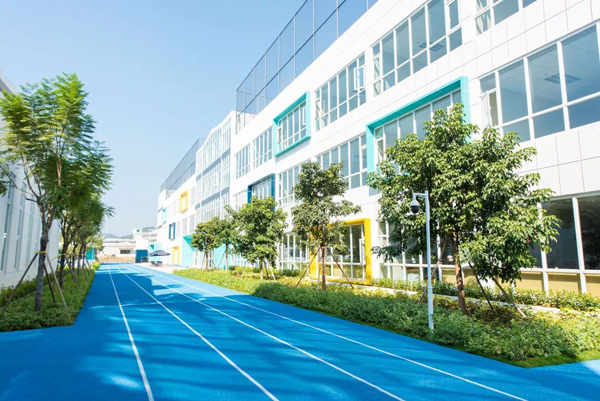 学校教育合作